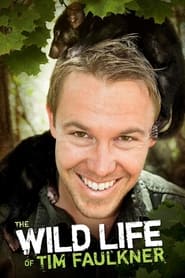 Watch The Wild Life of Tim Faulkner