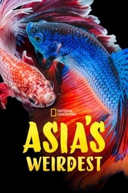 Watch Asia's Weirdest