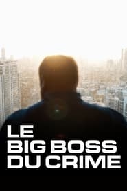 Watch The Big Boss: A 21st Century Criminal