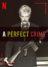 Watch A Perfect Crime