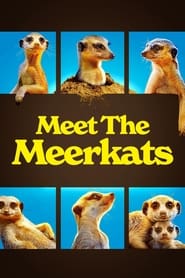 Watch Meet The Meerkats