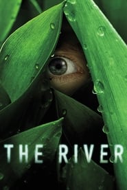 Watch The River