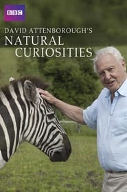 Watch David Attenborough's Natural Curiosities