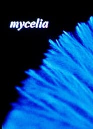 Watch mycelia