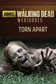 Watch The Walking Dead: Torn Apart