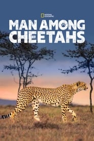 Watch Man Among Cheetahs