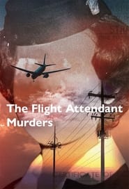 Watch The Flight Attendant Murders