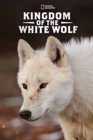 Watch Kingdom of the White Wolf