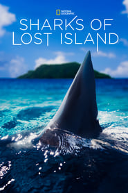 Watch Sharks of Lost Island