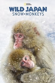 Watch Wild Japan: Snow Monkeys