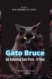 Watch Gato Bruce - O Filme - Uma História Interessante de um Gato