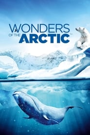 Watch Wonders of the Arctic
