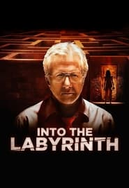 Watch Into the Labyrinth