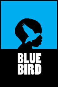 Watch Blue Bird