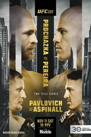 Watch UFC 295: Prochazka vs. Pereira
