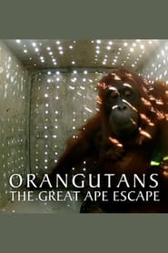 Watch Orangutans: The Great Ape Escape