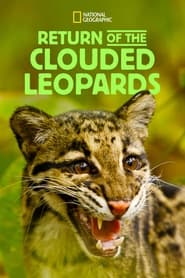 Watch Return of the Clouded Leopards