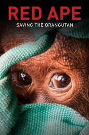 Watch Red Ape: Saving the Orangutan