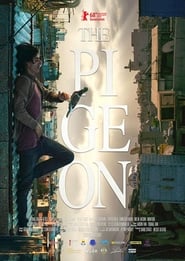 Watch The Pigeon