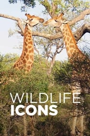 Watch Wildlife Icons
