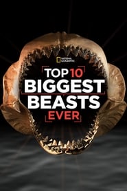 Watch Top 10 Biggest Beasts Ever