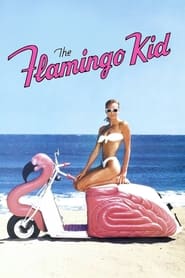Watch The Flamingo Kid