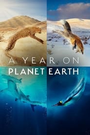 Watch A Year on Planet Earth