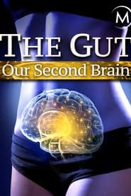 Watch The Gut: Our Second Brain