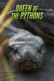 Watch Queen of the Pythons