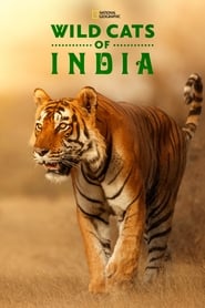 Watch Wild Cats of India