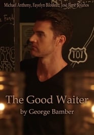 Watch The Good Waiter