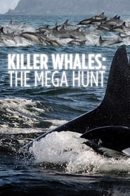 Watch Killer Whales: the Mega Hunt