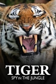 Watch Tiger: Spy In The Jungle