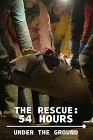 Watch The Rescue: 54 Hours Under the Ground