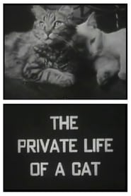 Watch The Private Life of a Cat