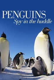 Watch Penguins: Spy in the Huddle