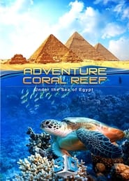 Watch Adventure Coral Reef 3D - Under the Sea of Egypt