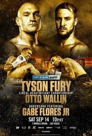 Watch Tyson Fury vs. Otto Wallin