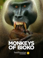 Watch Monkeys of Bioko