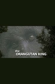 Watch The Orangutan King