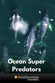 Watch Ocean Super Predators