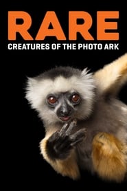 Watch Rare: Creatures of the Photo Ark