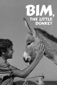 Watch Bim, the Little Donkey