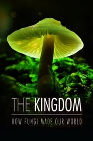Watch The Kingdom: How Fungi Made Our World