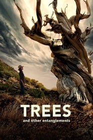 Watch Trees and Other Entanglements