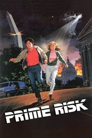 Watch Prime Risk