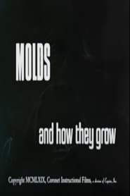 Watch Molds and How They Grow