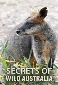 Watch Secrets of Wild Australia