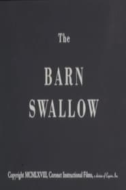 Watch The Barn Swallow