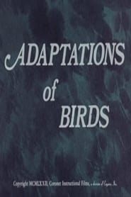 Watch Adaptations of Birds